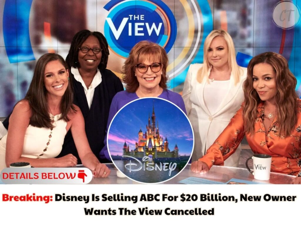 Breaking: Disney Is Selling ABC For $20 Billion, New Owner Wants The View Cancelled