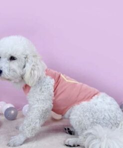 DOG AND CAT CLOTHES