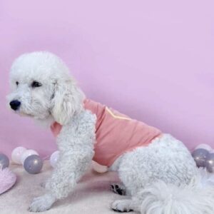 DOG AND CAT CLOTHES